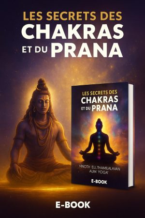 Les secrets des Chakras et du Prana + 2 méditations guidées par Vinoth Elilthamilvalavan