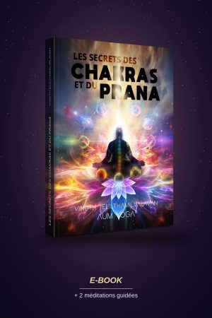 Les secrets des Chakras et du Prana + 2 méditations guidées par Vinoth Elilthamilvalavan